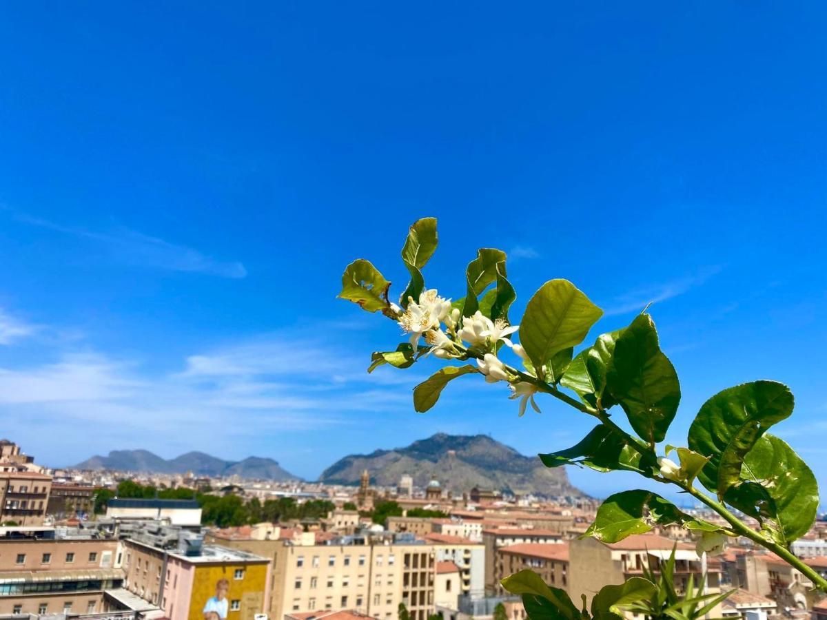 Lealbe Di Sicilia Bed and Breakfast Palermo Exterior foto